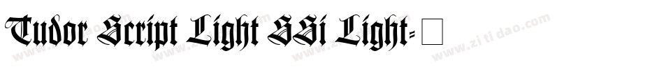 Tudor Script Light SSi Light字体转换